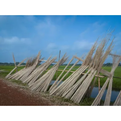 Thatch reed bundle